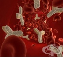 Тест за антитела срещу надбъбречните жлези