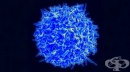 Тест за изброяване на Т-клетки