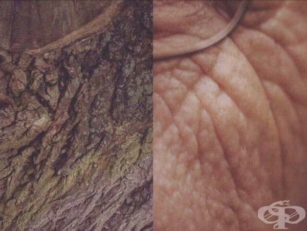 Човекът и Вселената