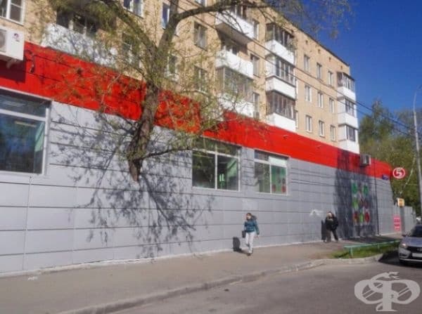 Бъг в строителството. Дървото расте през стената.