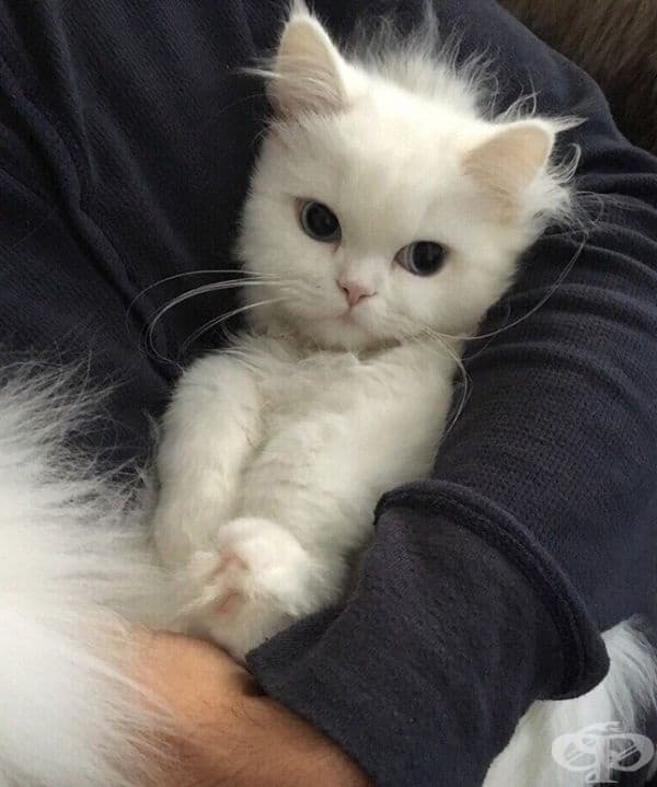 "Все още съм ядосан. Но, добре, може да ме прегърнеш."