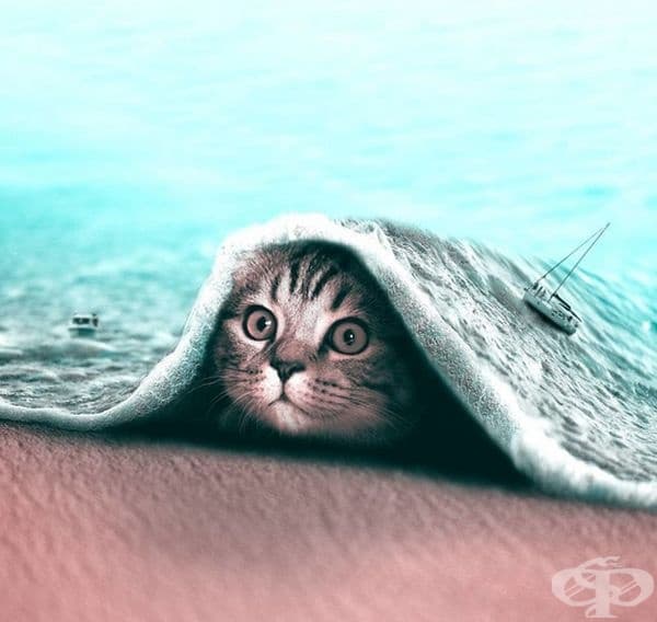 Френски дигитален художник използва умело Photoshop и създава фантастични животни