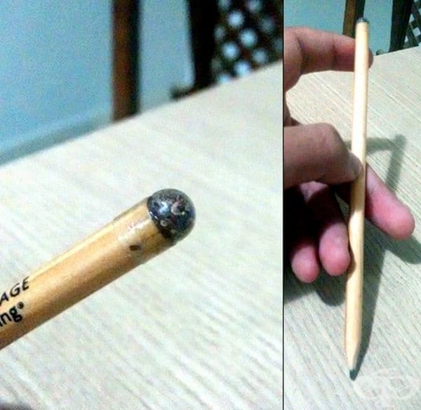 В края на молива има семенца. След като се изпише, могат да се засадят, за да израстне ново дърво.