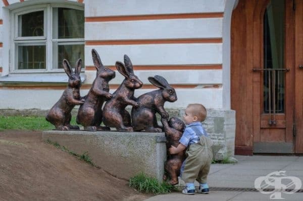 Имате ли нужда от помощ?