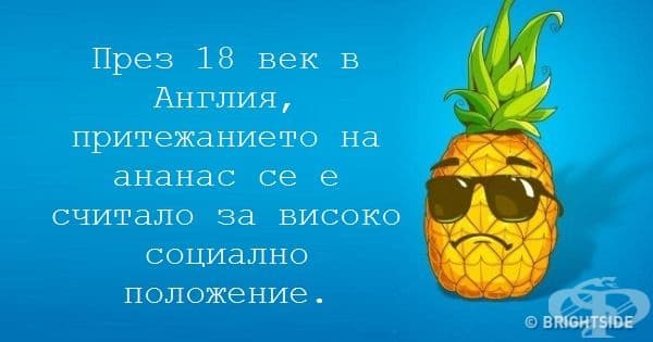 12 невероятни факта, които всеки трябва да знае