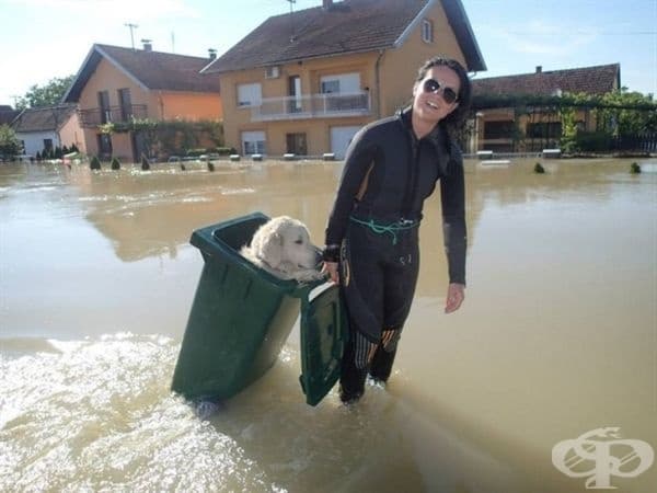Жена спасява куче от наводнена улица.