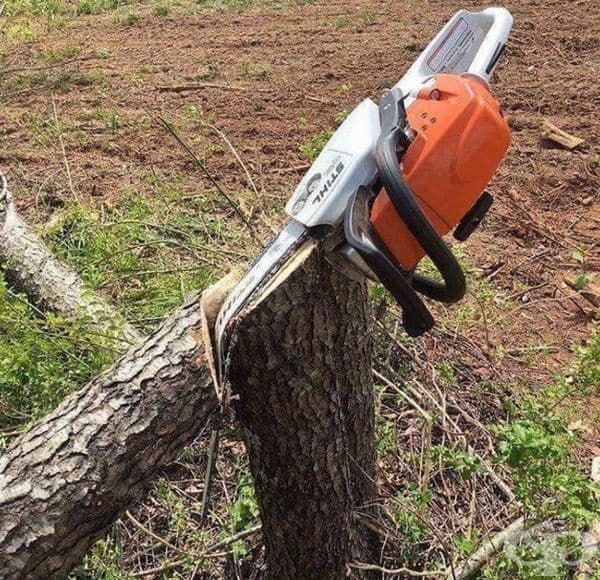 В ръцете на човек, който не разбира, се случва точно това.
