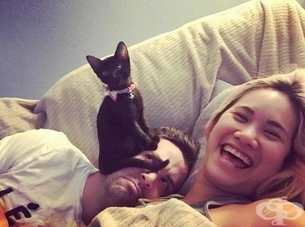 Той няма шанс, котката е по-важно да участва в кадъра.