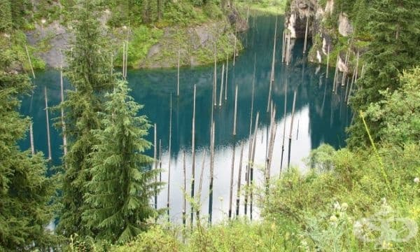 От билото се открива великолепна гледка към гората и речната долина.