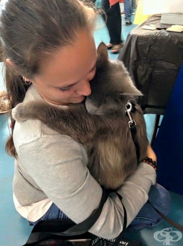 "Котката ми е сляпа, но обича да раздава преградки."