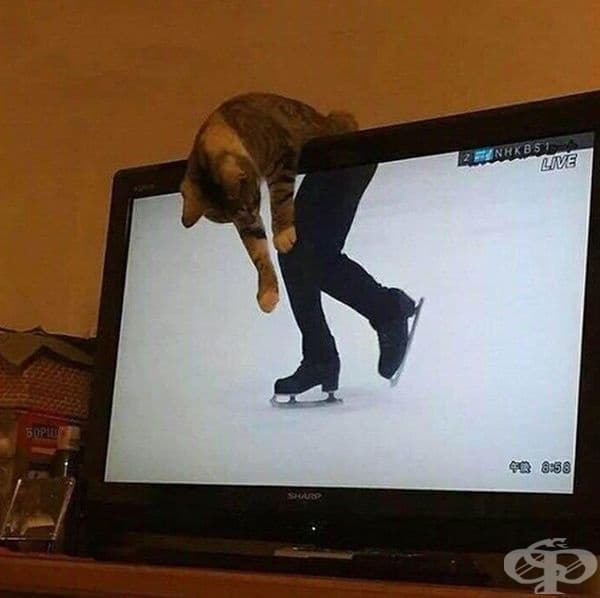 Тя дебне.
