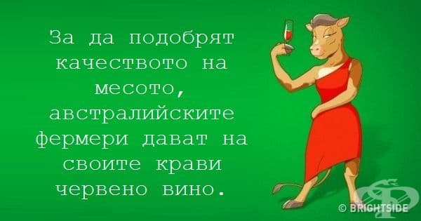 12 невероятни факта, които всеки трябва да знае