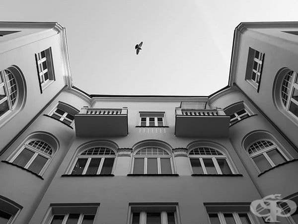 Всъщност това не е огледална сграда, но изглежда като такава. Само птицата може да стане ясно.