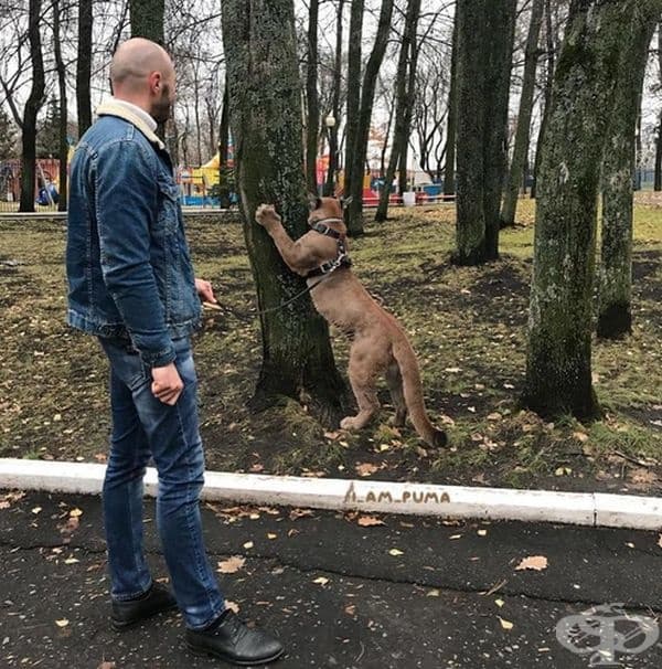 Разбира се това е довело до редица промени в начина на живот на семейството.