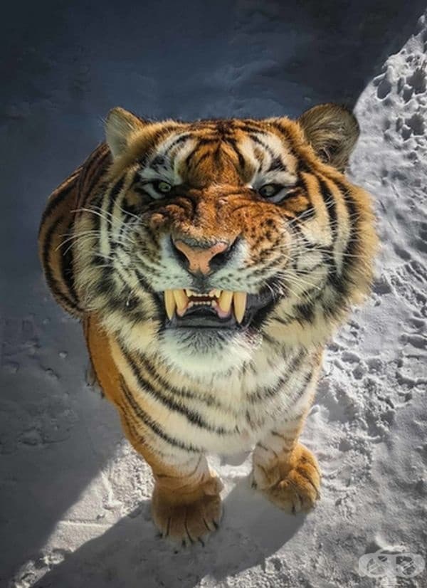 Усмивка.