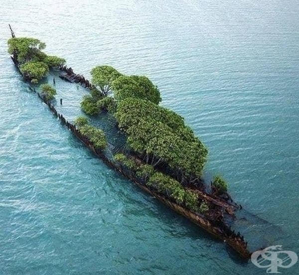 Когато желанието за живот е по-силно от всичко.