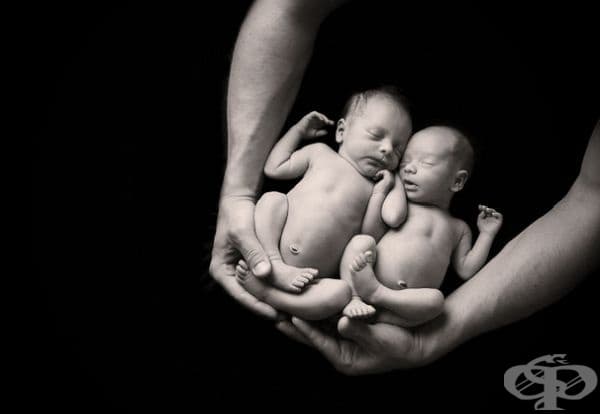 20 снимки, предаващи специалните отношения между бащите и техните деца