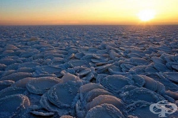 Лед във формата на палачинки.