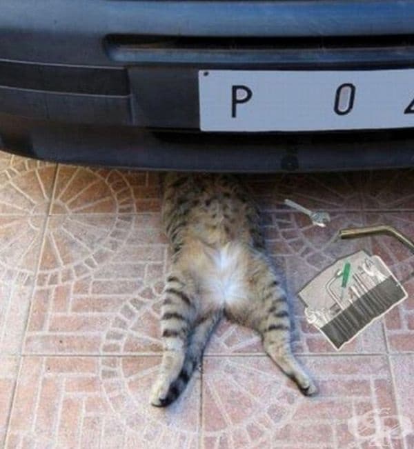 Проблем с автомобила.