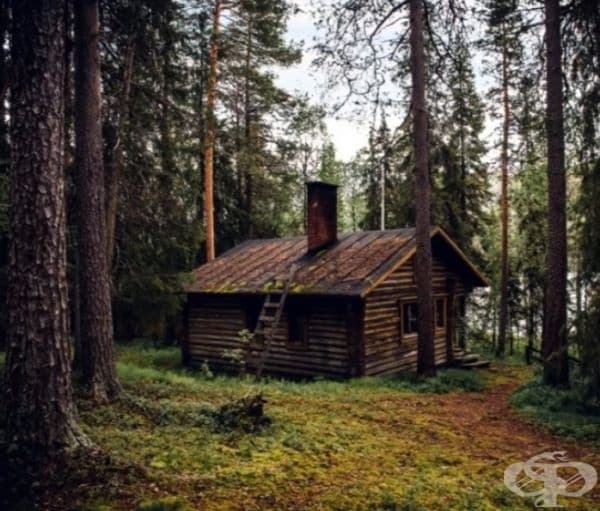 Обзалагаме се, че не можете да намерите всички животни в тези снимки
