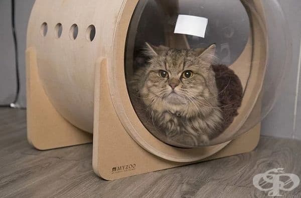Дизайнерска компания създава космически легла за котки
