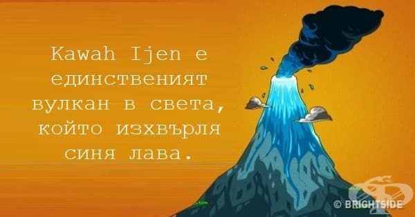 12 невероятни факта, които всеки трябва да знае