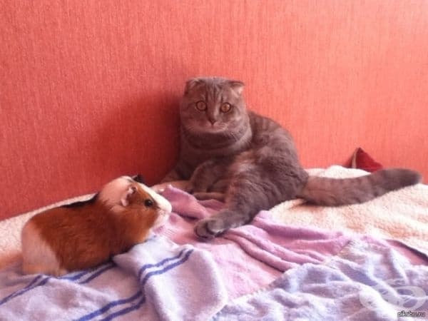 Една много неочаквана среща.