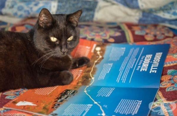 "Разбира се има много места, които не може да посетим заедно, като националните резервати и паркове."