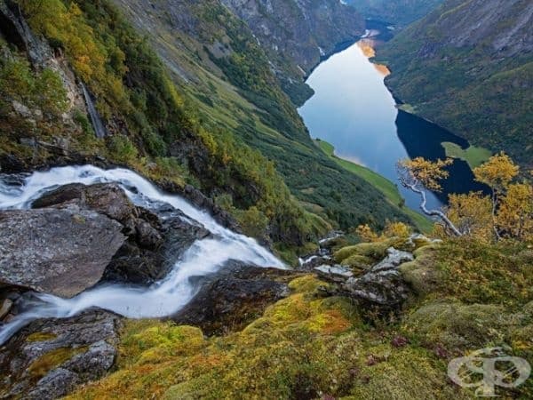 Фиорд, Западна Норвегия. (Снимка: Ерленд Хаарберг)