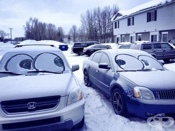 Изглеждат усмихнати.