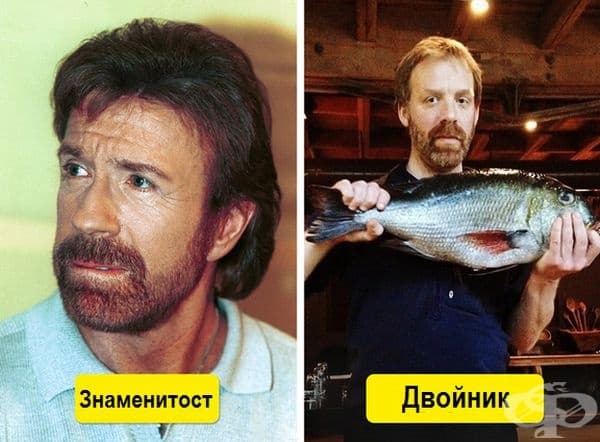 Когато Чък Норис е на почивка.