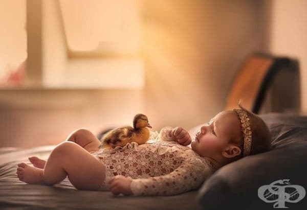 20 прекрасни снимки на бебета с животни