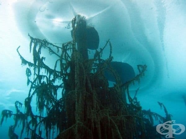 Преводът на Каинди от казахстански е Брезово езеро.