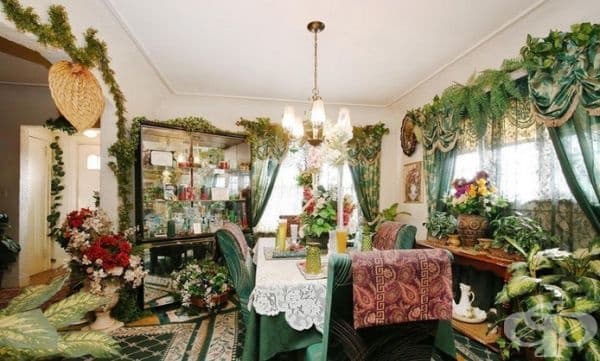 Добре дошли в джунглата.