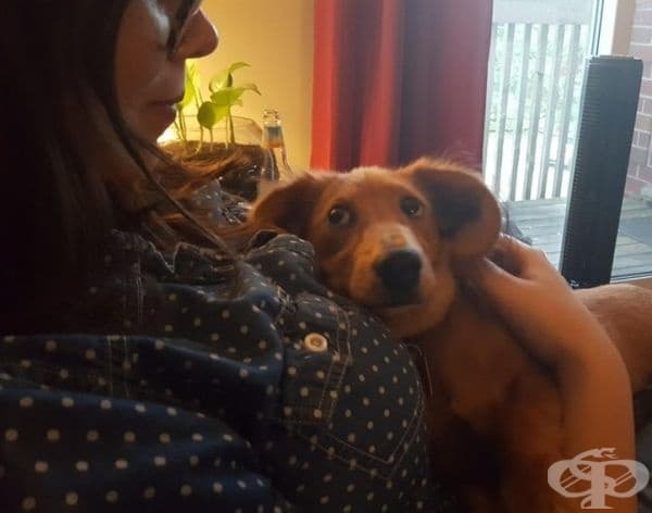Любовта на домашния любимец е безценна.