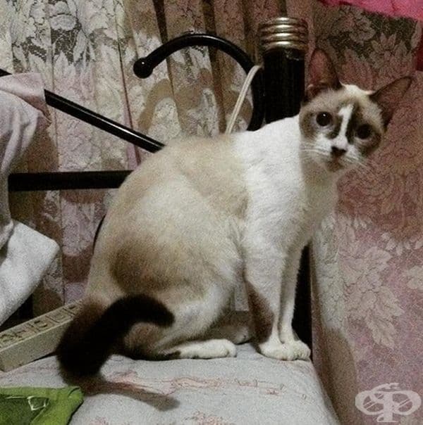 Защото ви е сте номер 1 във всичко.