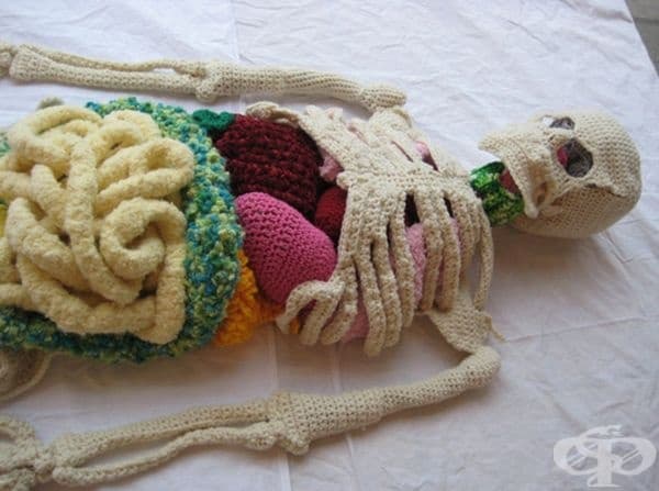 15 снимки на човешки скелет, изплетен на една кука