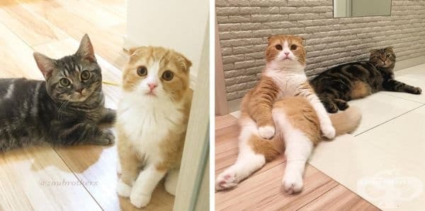 Колкото и да е странно, тези снимки са с 10 месеца разлика.