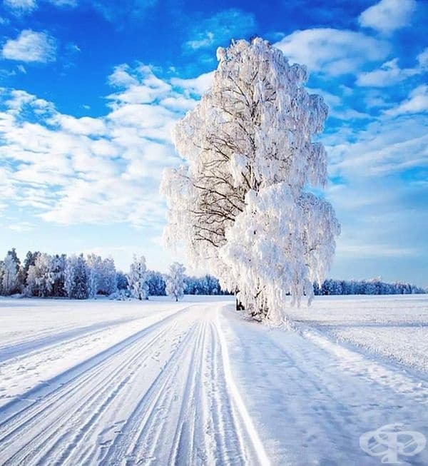 Снежен път. Норвегия.