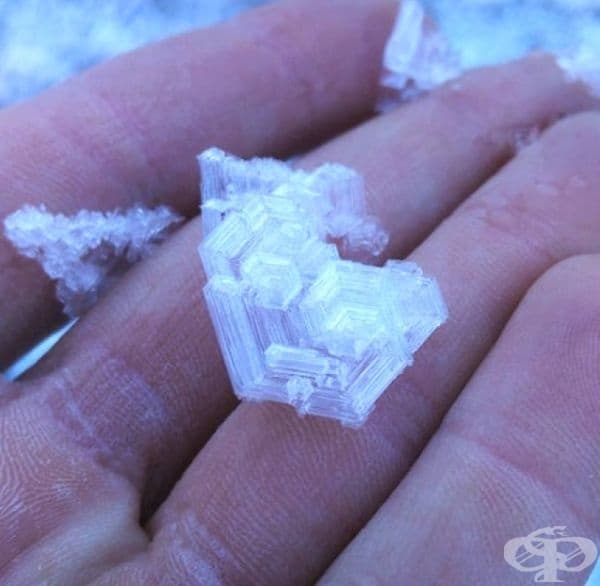 Снимка на уникална снежинка в Швейцария.