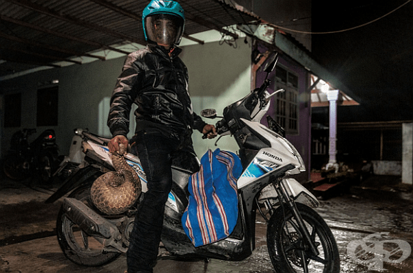 Автор: Brent Stirton