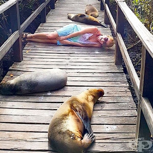 Какво всъщност се случва тук?
