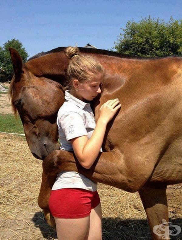 Животните също имат чувства.