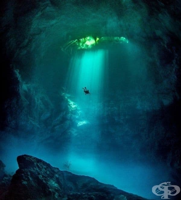 Рядък източник на прясна вода в Мексико с неограничена видимост под вода.