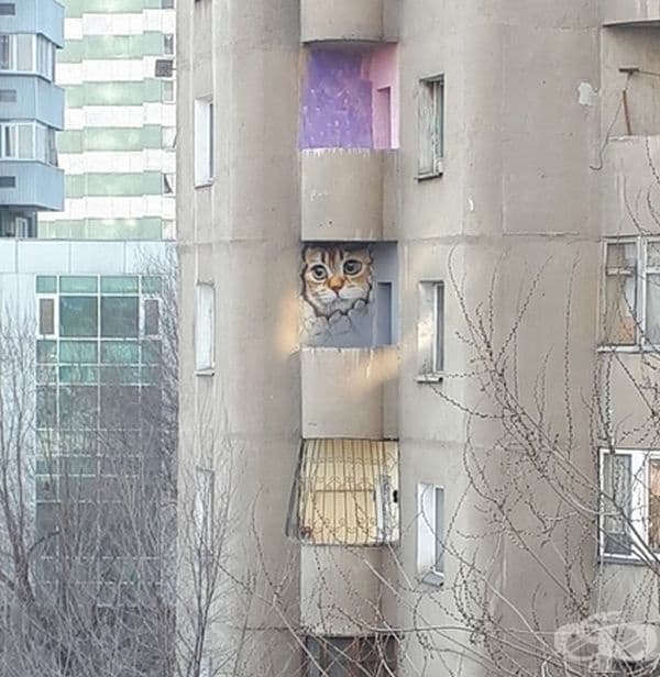 Сам вкъщи.