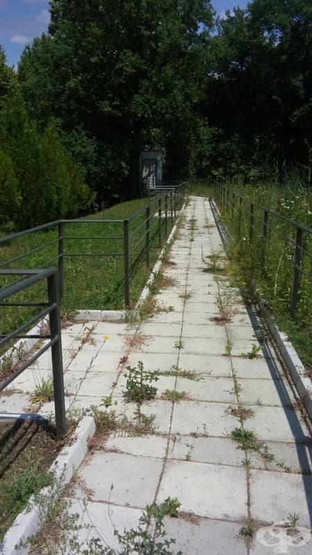 Самуиловата крепост - място, на което няма да се върна - сигнал на Живка Александрова