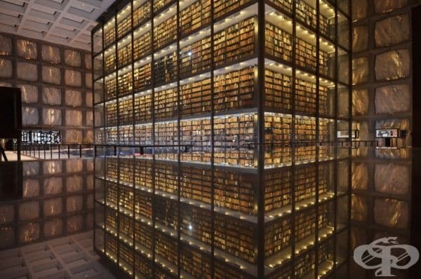 Библиотека с редки книги и ръкописи в Йейлския университет, Канектикът, САЩ.