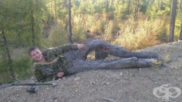 Когато природата е по-добър дизайнер.
