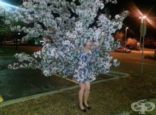 Тази жена сякаш излиза от цъфтящото дърво.