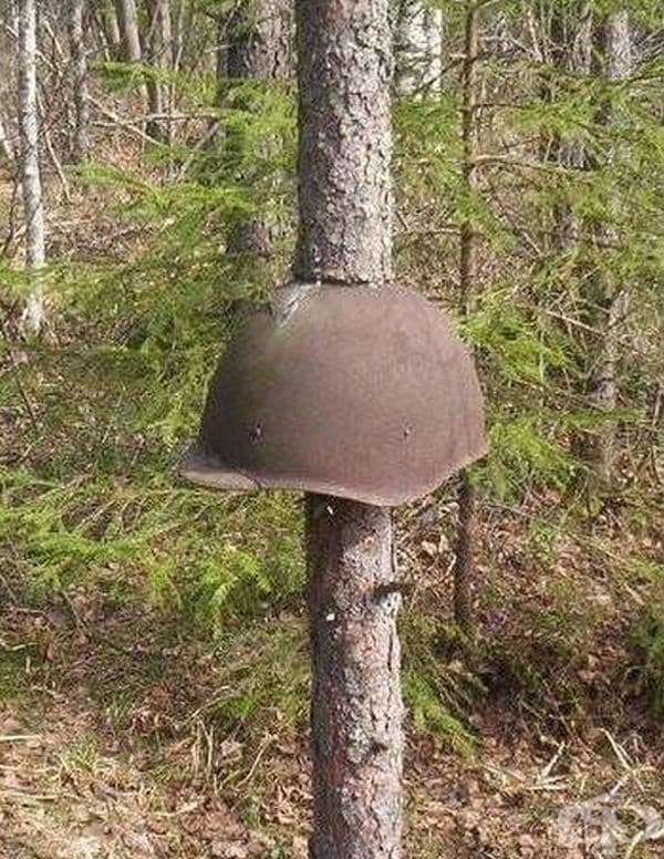 Във всяка война природата винаги побеждава.